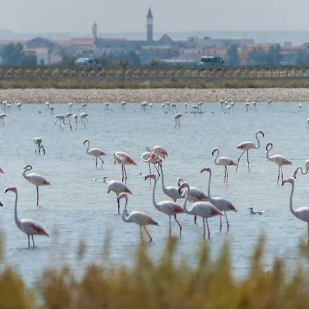 Marco Polo 16 ベッド・アンド・ブレックファスト 4*